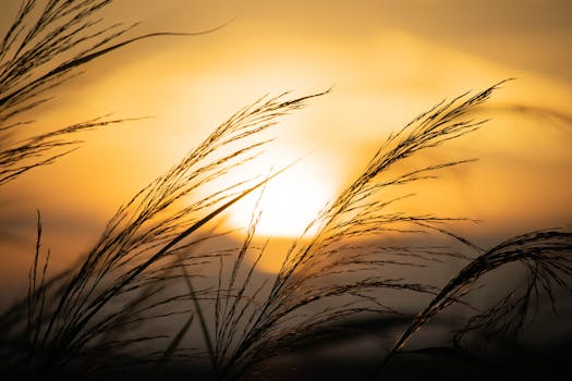 Jak Udržet Byt Chladný Bez Vysokých Nákladů: Efektivní Tipy