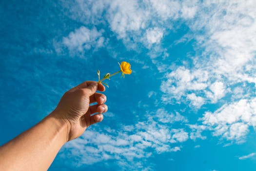 Chladný a Čistý Vzduch v Bytě: Přirozené Metody pro Léto