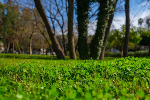 Tipy pro Krásné Jarní Klima v Domácnosti: Světlo, Vzduch, Čistota