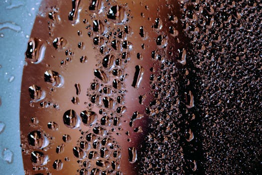 8 přirozených způsobů, jak efektivně snížit vlhkost v bytě