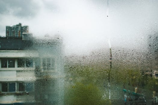 Optimální vlhkost vzduchu v bytě: Jak ovlivňuje vaše zdraví?